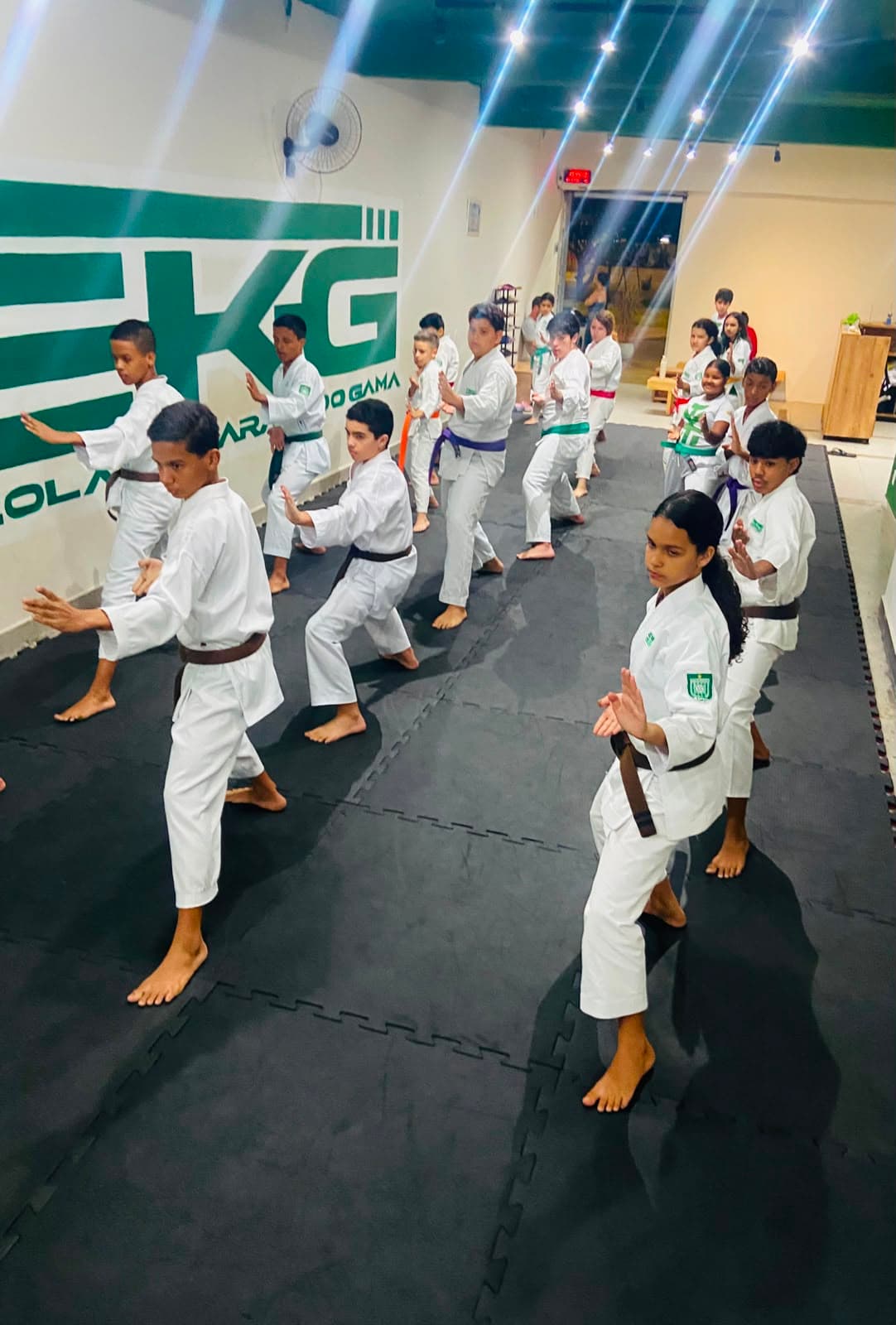 Treino de Kihon na EKG: turma de crianças e adolescentes de várias faixas em posição zenkutsu-dachi (base de frente) executando um bloqueio, diante do painel com o logo da escola.