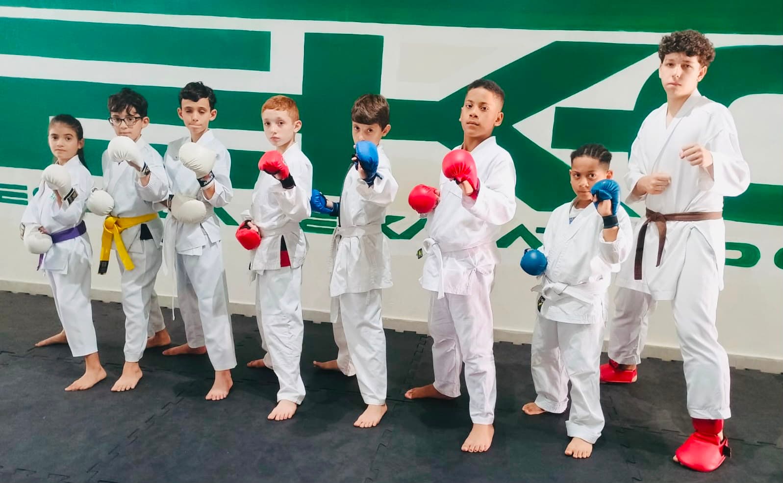 Treino de Kumitê na EKG: fileira de crianças e adolescentes com luvas de combate vermelhas e azuis em posição de guarda, diante do painel com o logo da escola.